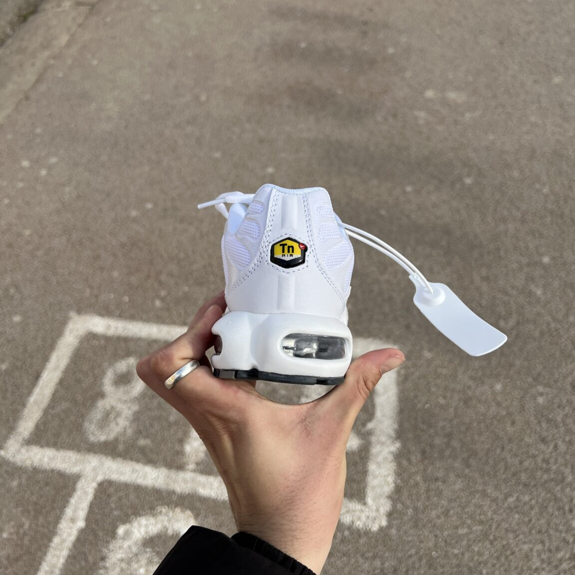 TN white